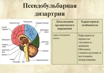 Американские врачи назвали псевдобульбарный синдром виновником смеха  Джокера / VSE42.RU - информационный сайт Кузбасса.