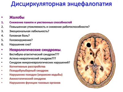 ОПЫТ ПРИМЕНЕНИЯ ОРИГИНАЛЬНОГО КОМПЛЕКСА ЛЕЧЕБНОЙ ФИЗКУЛЬТУРЫ И  ЭЛЕКТРОСТИМУЛЯЦИИ ПРИ РЕАБИЛИТАЦИИ БОЛЬНОГО С ПСЕВДОБУЛЬБАРНЫМ ПАРАЛИЧОМ –  тема научной статьи по клинической медицине читайте бесплатно текст  научно-исследовательской работы в электронной ...