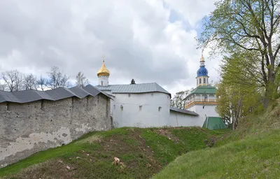 Псковичи могут отправить посылку с угощением для белок в Псково-Печерский  монастырь