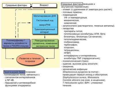 Псориаз и психосоматика: что делать?