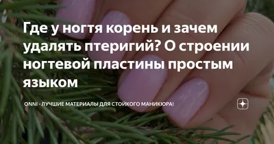 Учебный центр Натальи Болдурчиди on Instagram: \"Ноготь после хирургического  вмешательства. . Со слов клиента: При небольшой травме и воспалении  проксимального валика, хирург принял решение удалить ногтевую пластину.  Процедура проводилась многократно ...