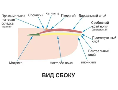 All in beauty, студия красоты, улица Земляной Вал, 6 ст1, Москва — 2ГИС