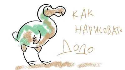 Как выглядела вымершая 350 лет назад легендарная птица додо | MAXIM