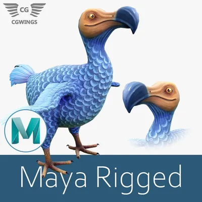Птица додо - доверчивый голубь с Маврикия - Динофакты