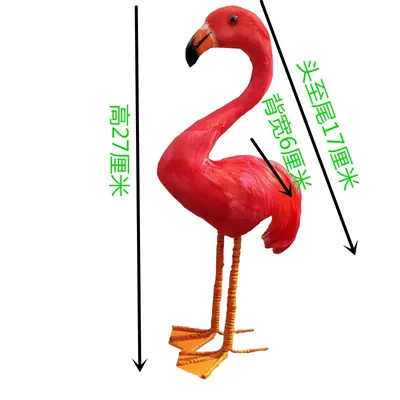 Картинки птица Фламинго Животные
