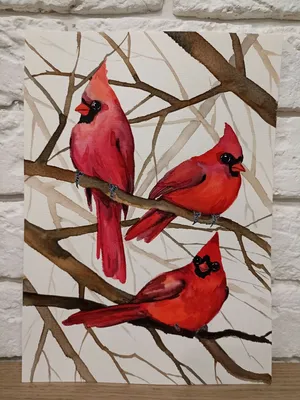 Птица красный кардинал. Американский …» — создано в Шедевруме