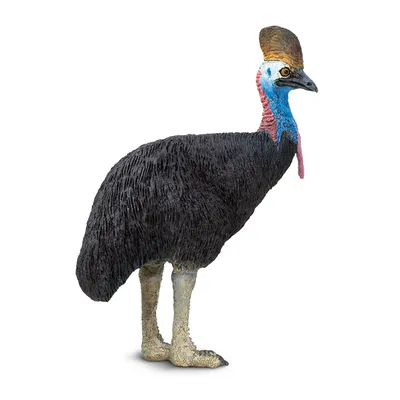 Казуар: самая крупная птица, которая не умеет летать» — создано в Шедевруме