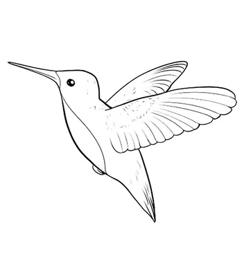 Птица колибри, высокое качество, …» — создано в Шедевруме