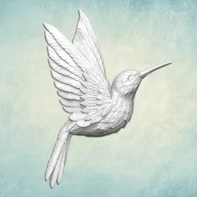 Иллюстрация Рисунок Птица Колибри | Illustrators.ru