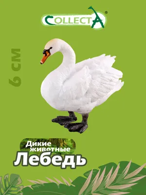 Редкую птицу заметили на Тузловских лиманах - фото | РБК Украина