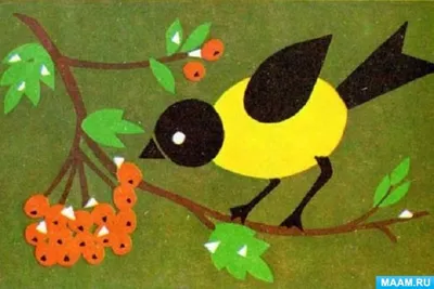 Иллюстрация птица на ветке | Illustrators.ru