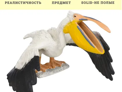 White Pelican. - Американский белый пеликан[1] (лат. Pelecanus  erythrorhynchos) — птица семейства пеликановых. Уроженец Северной… | Pelican,  Bird, Beautiful birds