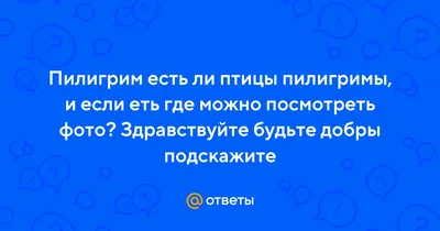 Многие считают, что ворона – это «сорная птица» , не приносящая никакой  пользы. | GOOD HUNTING | Дзен