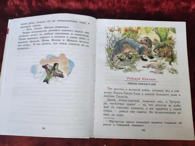 The Batrachospermum Magazine - Карликовая синица Psaltria exilis – самая  маленькая птица во всем обширном отряде воробьинообразных (Passeriformes),  ее размер всего 8 см вместе с хвостом. Обитает она в тропических горных  лесах