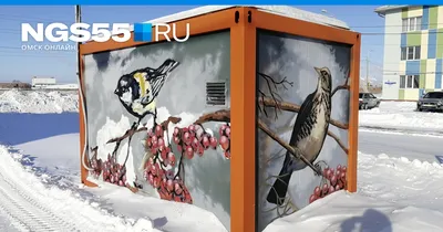 Сердобольный россиянин создал вытрезвитель для птиц