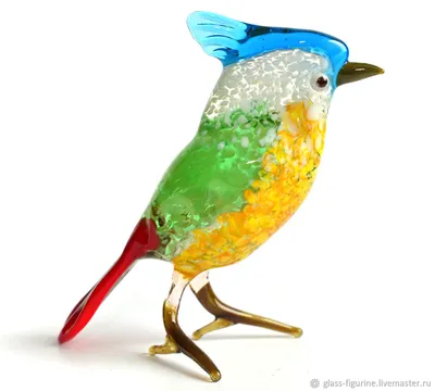 Свиристель — кочующая птица с хохолком на голове: 10 особенностей «лесного  попугая» | Приключения натуралиста | Дзен