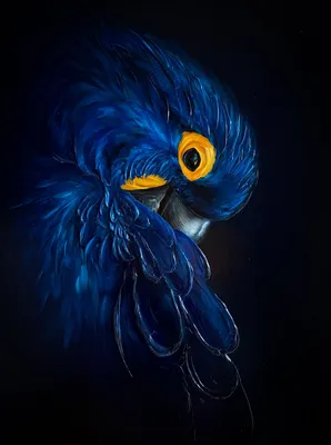 Иллюстрация Птица счастья в стиле живопись | Illustrators.ru