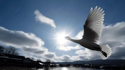 Птица в небе» — создано в Шедевруме
