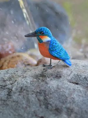 Потрясающие кадры: Зимородок ловит рыбу | Зимородок, Фотография дикой  природы, Красивые птицы