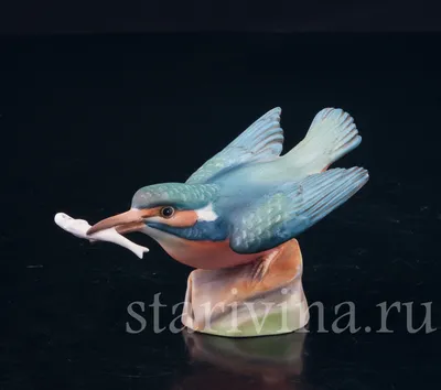 Обыкновенный зимородок — покоритель водной стихии – Астраханский биосферный  заповедник