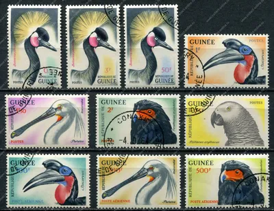 Птицы Африки Либерия 1979 6 марок (гашенные)