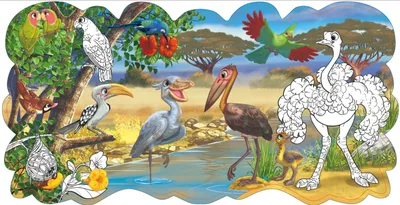 2014 Танзания Фауна Птицы Африки. Купить в Минске — Марки Ay.by. Лот  5017400643