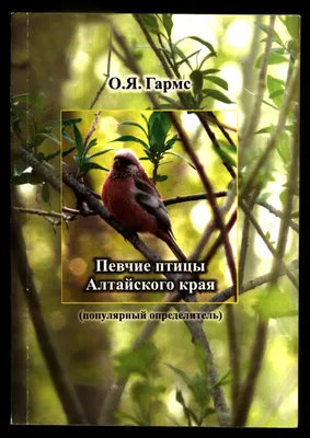 Певчие птицы Алтайского края | Президентская библиотека имени Б.Н. Ельцина