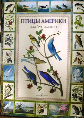 Книга \"Птицы Америки\" Одюбон Дж - купить книгу в интернет-магазине «Москва»  ISBN: 5-7793-1179-3, 369145