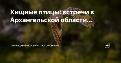 Фотофакт: в Беларуси обнаружили новый вид птиц