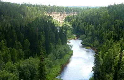 Кукушка | 19.05.2020 | Красноуфимск - БезФормата