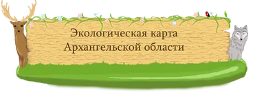 Хищные птицы национального парка «Водлозерский», занесенные в Красную книгу Архангельской  области - online presentation