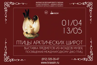 Выставка Птицы Арктики в Мурманской области - Афиша на Хибины.ru