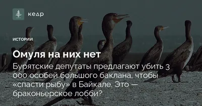 БАЙКАЛЬСКИЙ ЗАПОВЕДНИК | Отдых на Байкале от Фаната Байкала