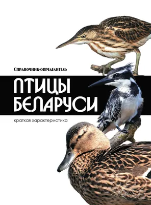 Орнитолог о том, когда и какие птицы покидают Беларусь - 01.10.2016,  Sputnik Беларусь