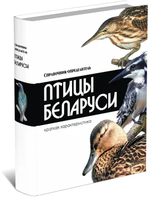 В Беларусь на зимовку: какие птицы прилетают к нам, чтобы переждать холода