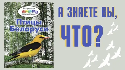 Станции кольцевания птиц «Сосновый Бор» нужна поддержка