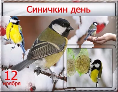 Зимующие птицы Белгородской области - презентация 7 класс