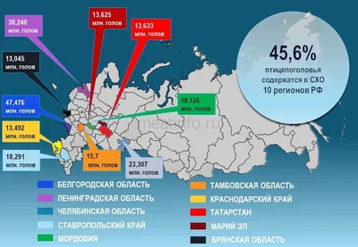 Белгородскую область посетили редкие гости с севера – клесты-еловики - МК  Белгород