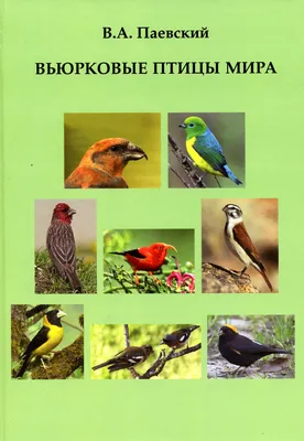 Птицы черноземья - 76 фото