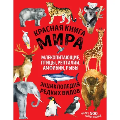 На Урале птицы оказались в западне: рассказываем, как помочь пернатым |  Уральский меридиан