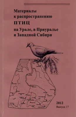 Из-за мороза в Екатеринбурге утки остались голодными - «Уральский рабочий»