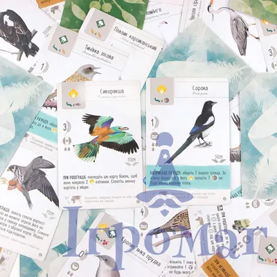 Птицы Европы PRO – скачать приложение для Android – Каталог RuStore