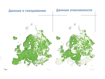 Крылья: Птицы Европы (Wingspan European Expansion) (ID#2024954299), цена:  1649 ₴, купить на Prom.ua