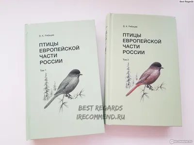 На Южном Урале выросла популяция красивейших птиц Европы - 1 августа 2017 -  74.ru