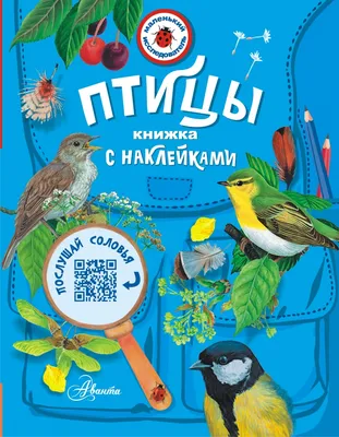 Редкие водоплавающие птицы Москвы - Агентство городских новостей «Москва» -  информационное агентство