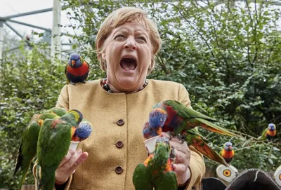 Меркель и птицы: что за попугаи «атаковали» канцлера?
