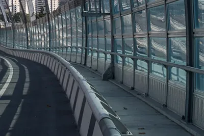 Зачем наклеили птиц вдоль дороги? В Сочи так защищают пернатых - Городской  портал Сочи | Sochi24.tv - Все новости города