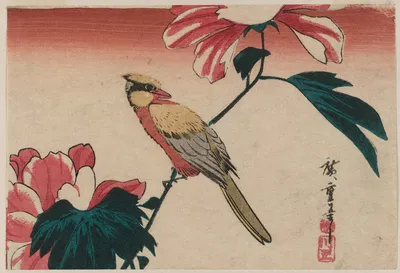 Книга Хиросигэ. Цветы и птицы