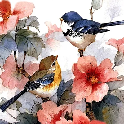 Картинки природа, цветы, листья, растение, фуксия, птицы мира, птичка,  колибри - обои 1366x768, картинка №391017