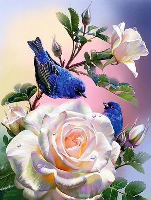Цветы и птицы :: Влад – Социальная сеть ФотоКто